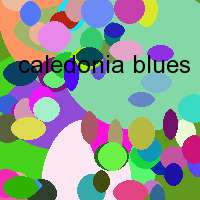 caledonia blues band