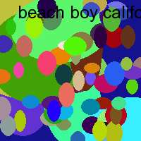 beach boy california dream