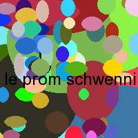 le prom schwenningen